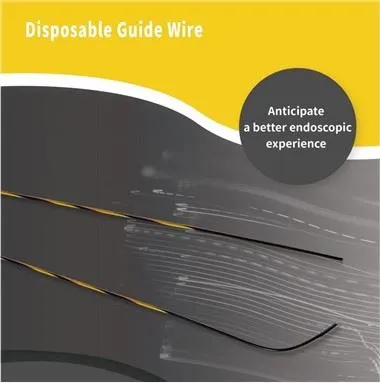 Fil gid pou andoskopi